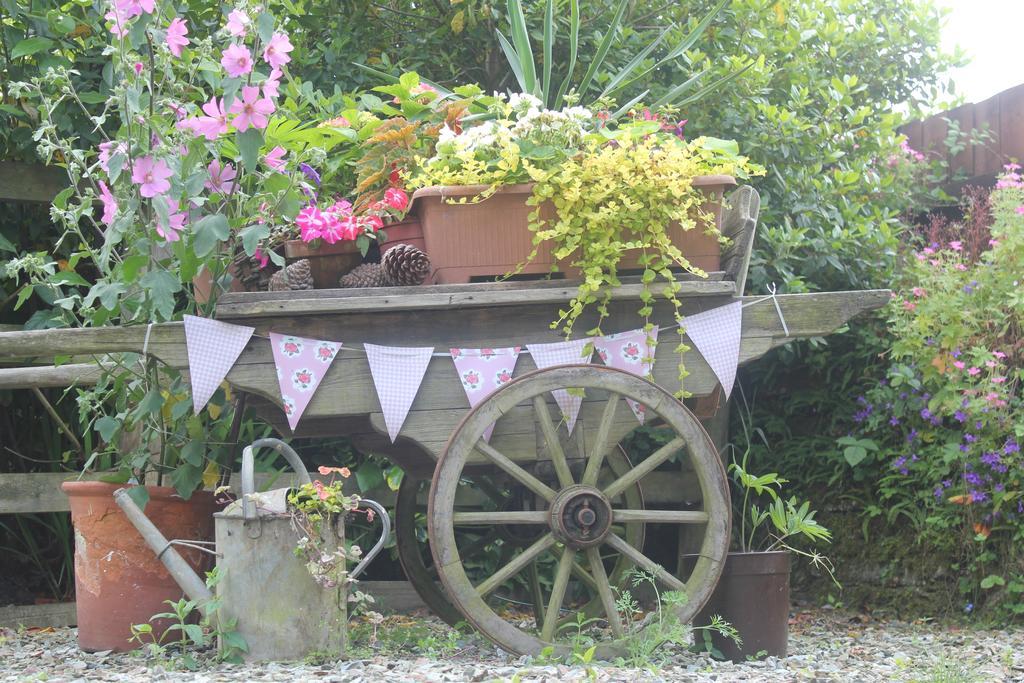 Culloden Farmhouse Camelford Exterior foto